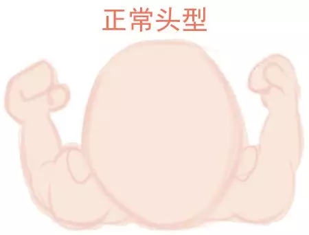 宝宝圆头好还是扁头好？这些奥秘好多爸妈都不知路1.webp.jpg